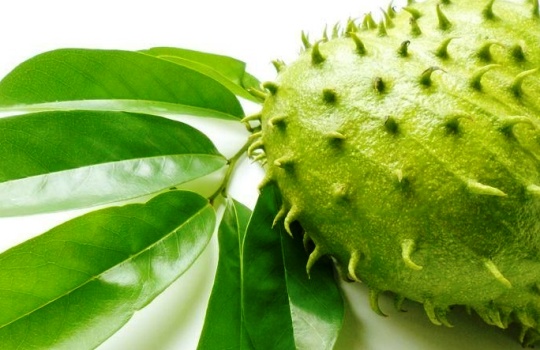 √ 4 Manfaat dan Khasiat Daun Sirsak untuk Kesehatan, serta