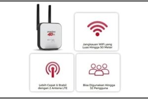 Rekomendasi Router Box Terbaik Untuk Anda
