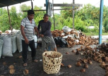 harga batok kelapa per kg_68ebd8330.jpg