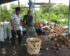 Harga Batok Kelapa Per Kg