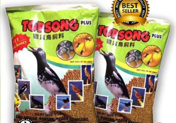 harga burung tepus_26369a35c.jpg