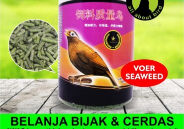 harga burung wambi_dfe1ef972.jpg