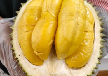 harga durian musang king_19a3aefe5.jpg