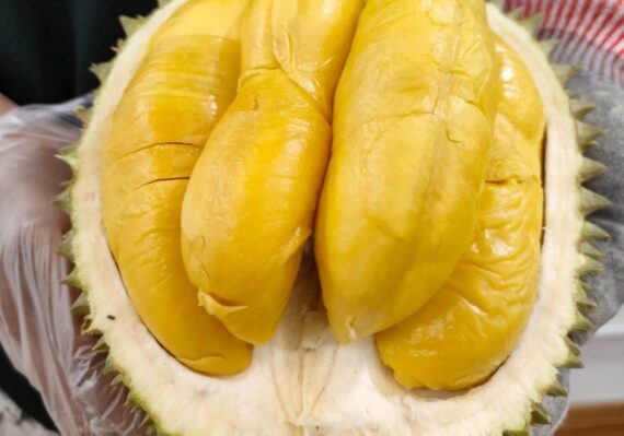 harga durian musang king_19a3aefe5.jpg
