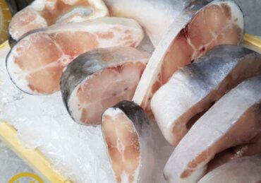 harga ikan patin 1 kg albino_dfa6cc4d8.jpg
