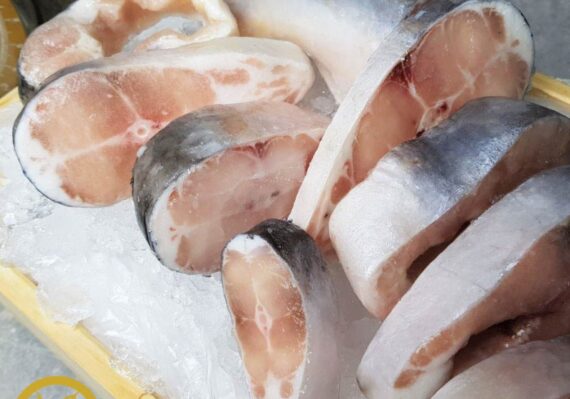harga ikan patin 1 kg albino_dfa6cc4d8.jpg