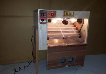 harga mesin penetas telur_5800796fb.jpg