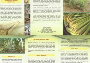 harga serai_d3ebb3871.jpg
