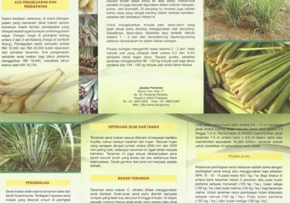 harga serai_d3ebb3871.jpg