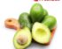 Harga Alpukat