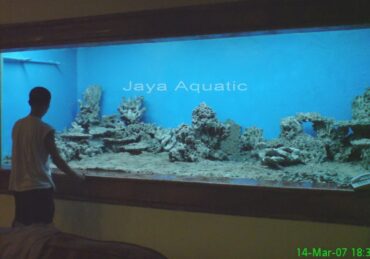 harga aquarium besar_c3e685503.jpg