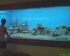 Harga Aquarium Besar