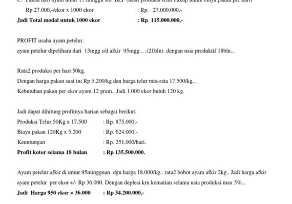 harga ayam afkir hari ini_bbf1d04c3.jpg