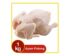 Harga Ayam Potong Per Ekor