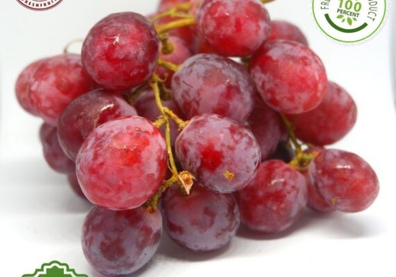 harga buah anggur_6d331a48f.jpg