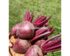 Harga Buah Bit