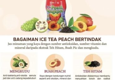 harga buah mengkudu_747154216.jpg