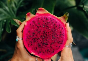 harga buah naga_755524ee5.jpg