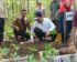 Harga Buah Porang Perkilo