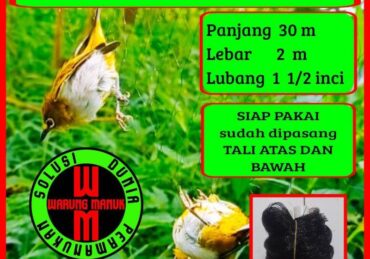 harga burung yuhina_c209f6eaf.jpg