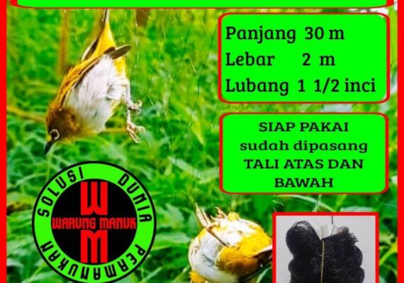 harga burung yuhina_c209f6eaf.jpg
