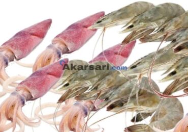 harga cumi per kg di pasar_eff26ae1d.jpg