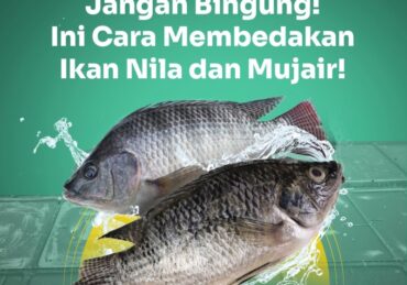 harga ikan nila_1cf6ed0cf.jpg