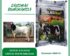 Harga Kambing Etawa