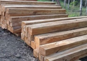 harga kayu kelapa_6987a44b3.jpg