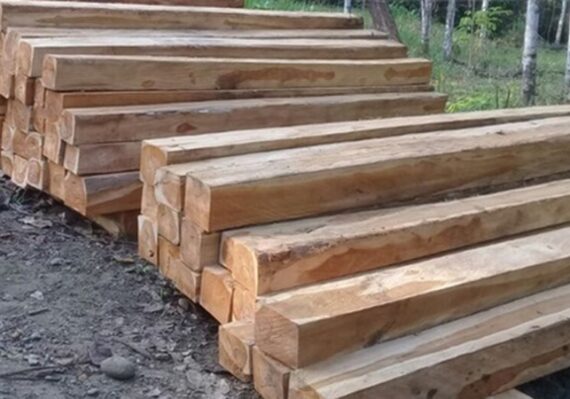 harga kayu kelapa_6987a44b3.jpg