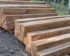 Harga Kayu Kelapa
