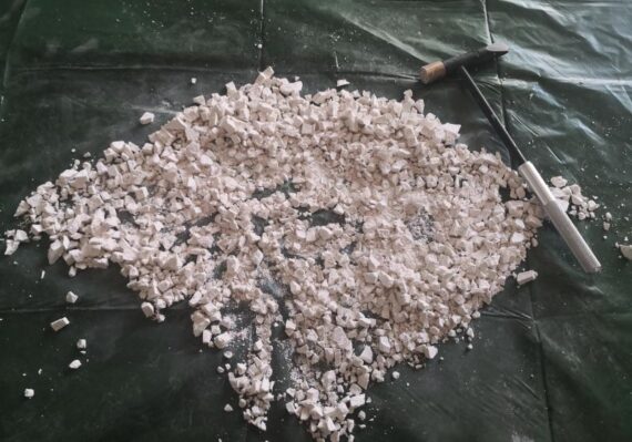 harga kroto_bc63ec43d.jpg