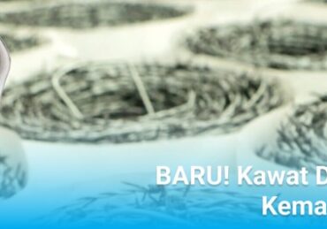 harga mesin bor bosch glodok_ddcc77f48.jpg