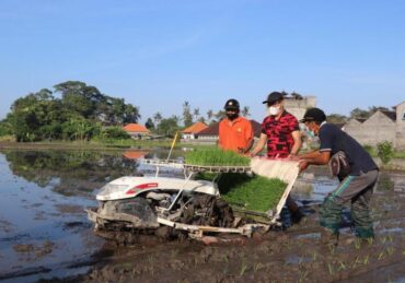 harga mesin tanam padi_4a8a0bdb8.jpg