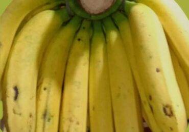 harga pisang ambon_a9c7b8fb3.jpg