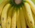 Harga Pisang Ambon