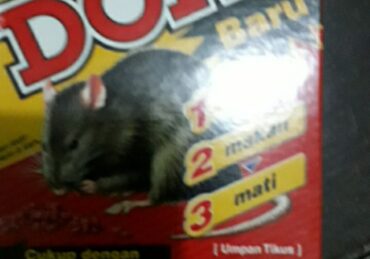 harga racun tikus di indomaret_025e90a35.jpg