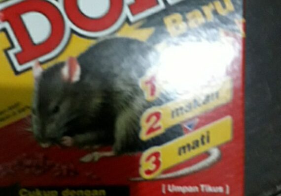 harga racun tikus di indomaret_025e90a35.jpg