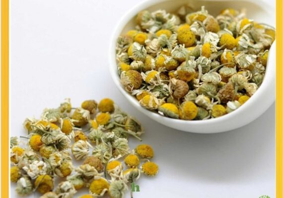 harga teh chamomile di alfamart_974c2adec.jpg