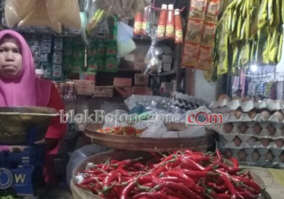 harga telur ayam ras hari ini_735d8036b.jpg
