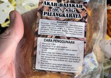 khasiat akar bajakah_6c4e957ad.jpg