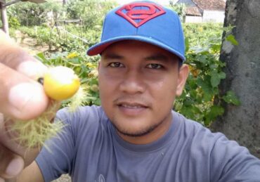 manfaat buah markisa kuning_454afe4c6.jpg