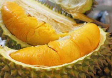 harga durian_ef33a944f.jpg