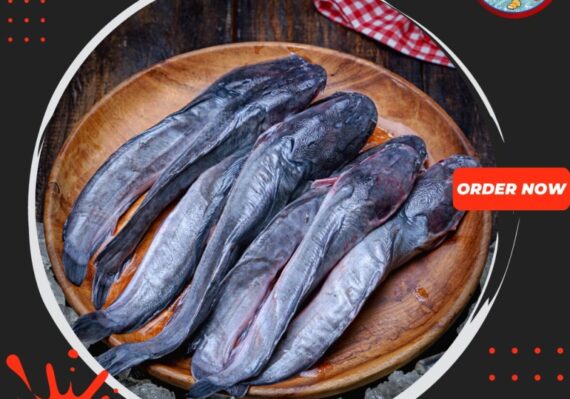 harga ikan lele per kg_184bd85bd.jpg