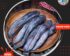 Harga Ikan Lele Per Kg