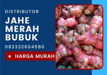 harga jahe merah per kg_f5fd539c8.jpg