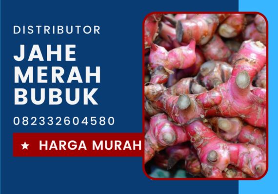 harga jahe merah per kg_f5fd539c8.jpg