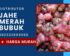 Harga Jahe Merah Per Kg