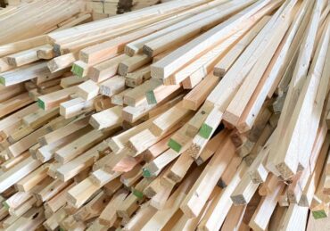 harga kayu jati_c8cdb81b7.jpg