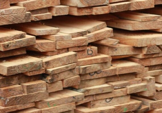 harga kayu mahoni_c71df4dd0.jpg